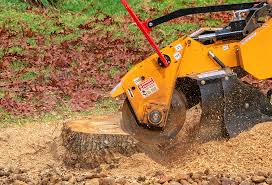 Best Lawn Renovation and Restoration  in Cutler, CA